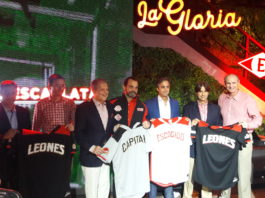 Leones apuestan a su pitcheo para lograr corona 17