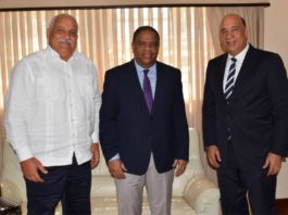 Rojas y Fernández Mirabal expresan compromiso con Juegos Nacionales