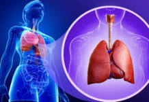 ¡Tus pulmones son importantes, cuídalos!