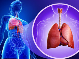 ¡Tus pulmones son importantes, cuídalos!