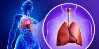 ¡Tus pulmones son importantes, cuídalos!