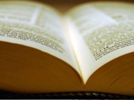 Reflexión del Evangelio con el Padre Kennedy Rodriguez