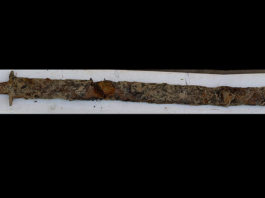 «La Reina de Suecia»: Una niña encuentra una espada de la era previkinga en un lago (FOTO)