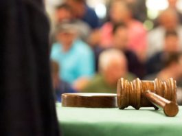 «Hija de puta» y «bicho»: Los insultos de un juez español a una modelo víctima de violencia machista