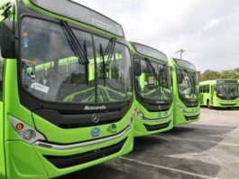 OMSA anuncia sus unidades circularán gratis miércoles y jueves