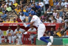 Erick Mejía llega para ayudar al Licey