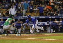 Urshela y Bonifacio encabezan triunfo del Licey sobre las Estrellas