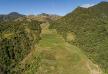Fundación Moscoso Puello: “El activo ambiental más importante del Caribe es destruido impunemente”