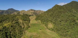 Fundación Moscoso Puello: “El activo ambiental más importante del Caribe es destruido impunemente”