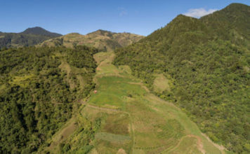 Fundación Moscoso Puello: “El activo ambiental más importante del Caribe es destruido impunemente”