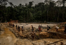 El nuevo presidente de Brasil amenaza la Amazonía; una tribu se prepara para pelear