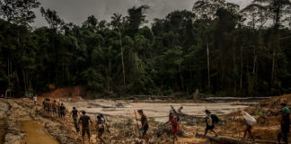 El nuevo presidente de Brasil amenaza la Amazonía; una tribu se prepara para pelear