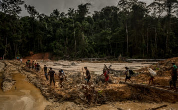 El nuevo presidente de Brasil amenaza la Amazonía; una tribu se prepara para pelear