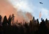 Miles de bomberos luchan contra incendios en California y aumentan las víctimas