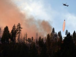 Miles de bomberos luchan contra incendios en California y aumentan las víctimas