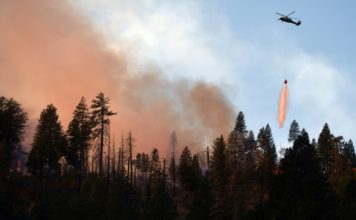 Miles de bomberos luchan contra incendios en California y aumentan las víctimas