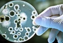 Las bacterias multirresistentes causaron 33.000 muertos en la UE en 2015, dice un estudio