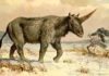 ¿Existieron los unicornios? Este animal vivió hace 39.000 años con los neandertales