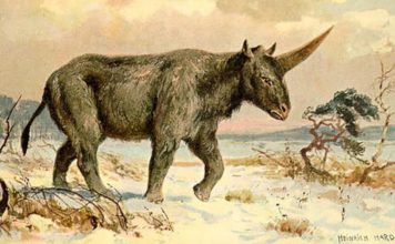 ¿Existieron los unicornios? Este animal vivió hace 39.000 años con los neandertales
