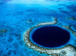 Exploran en vivo el Gran Agujero Azul de Belice, absorbente enigma del mundo oceánico