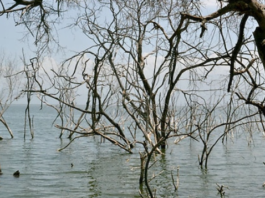 Líderes contra el cambio climático urgen a la acción ante “amenaza urgente”