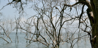 Líderes contra el cambio climático urgen a la acción ante “amenaza urgente”