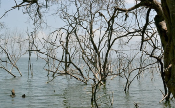 Líderes contra el cambio climático urgen a la acción ante “amenaza urgente”