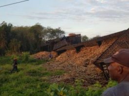 Dos muertos y tres heridos al descarrilarse tren cargado de caña en La Romana