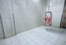 Escocia instalará cámaras en los mataderos para garantizar el bienestar animal