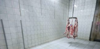 Escocia instalará cámaras en los mataderos para garantizar el bienestar animal