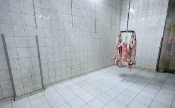 Escocia instalará cámaras en los mataderos para garantizar el bienestar animal