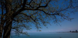 Continúan las temperaturas agradables para este jueves