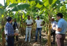 Banco ADOPEM presenta primer producto exclusivo de Finanzas Verdes a nivel nacional