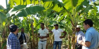 Banco ADOPEM presenta primer producto exclusivo de Finanzas Verdes a nivel nacional