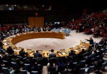 República Dominicana se convierte en miembro del Consejo de Seguridad de la ONU