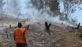 Incendio forestal en Constanza afecta Valle Nuevo