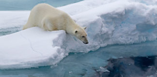 El Polo Norte se aleja de Canadá a una velocidad de 55 kilómetros al año