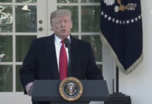 Trump cede a la presión y termina el cierre de Gobierno más largo de la historia de EE UU