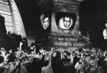 Los cerebros ‘hackeados’ votan