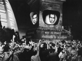 Los cerebros ‘hackeados’ votan