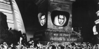 Los cerebros ‘hackeados’ votan