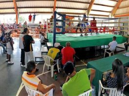 Realizan cartelera esperando XXXVIII Copa Independencia de Boxeo Internacional