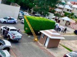 Dos personas detenidas por asalto en Las Praderas