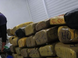 LA COCAÍNA: EN SU PUNTO MÁS ALTO DE PRODUCCIÓN