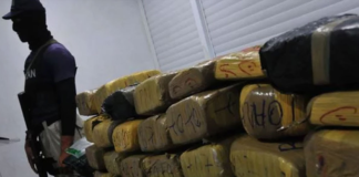 LA COCAÍNA: EN SU PUNTO MÁS ALTO DE PRODUCCIÓN