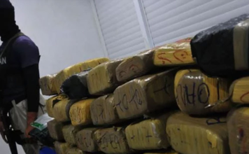 LA COCAÍNA: EN SU PUNTO MÁS ALTO DE PRODUCCIÓN