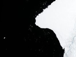 Un iceberg dos veces más grande que Nueva York, a punto de desprenderse de la Antártida