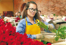 Una visión microeconómica del amor