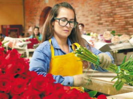 Una visión microeconómica del amor