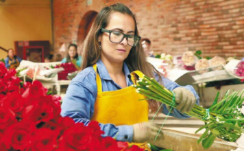 Una visión microeconómica del amor